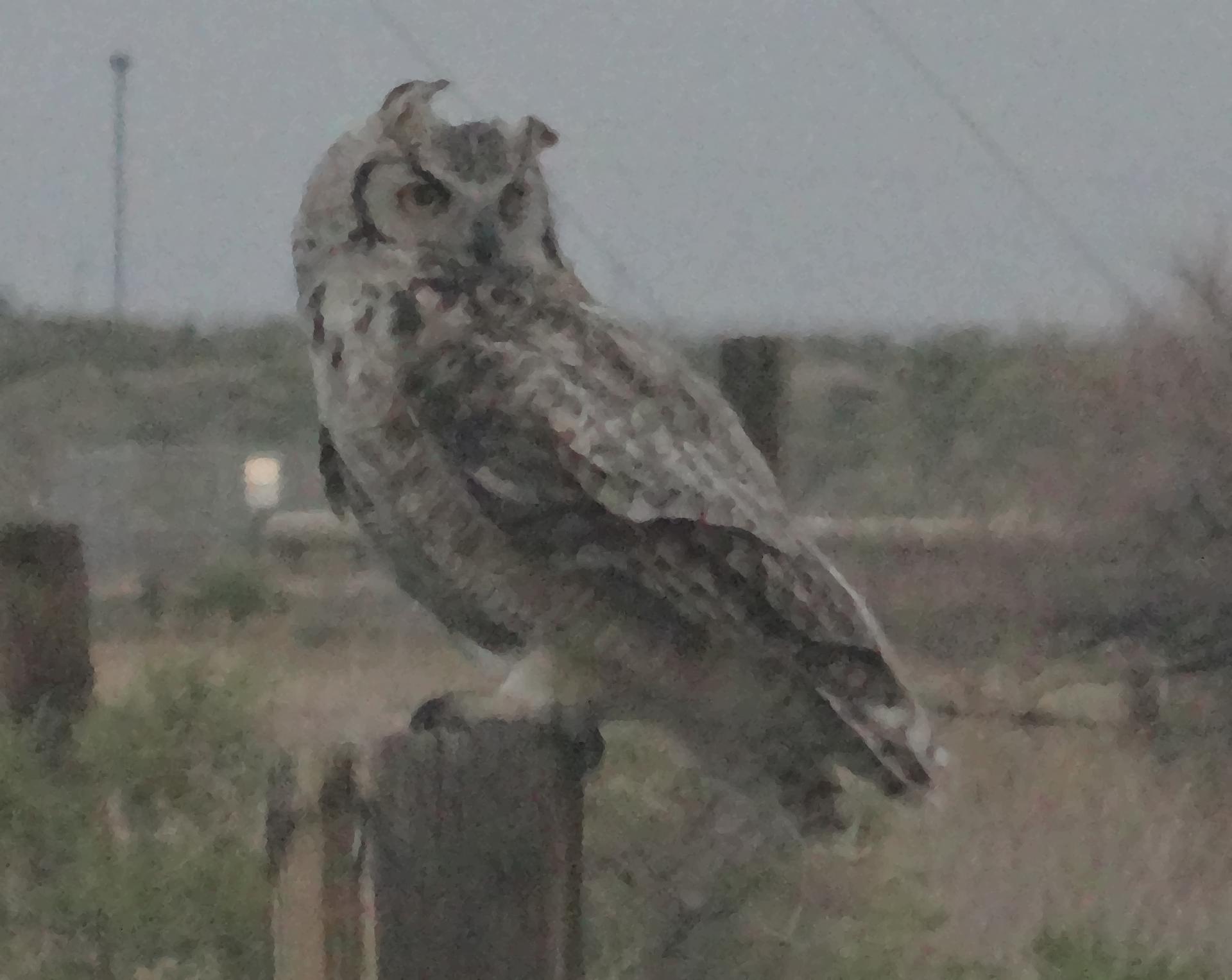 DSC01404sm