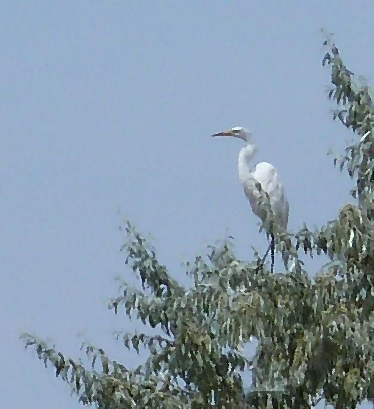 P1020498sm