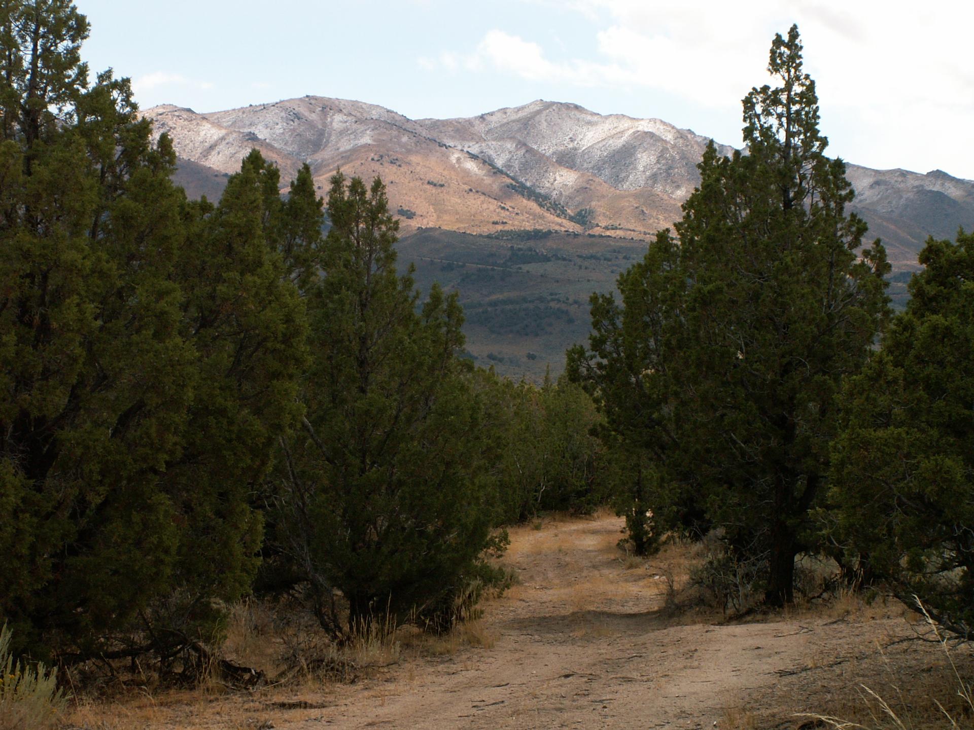 D20050911F0969