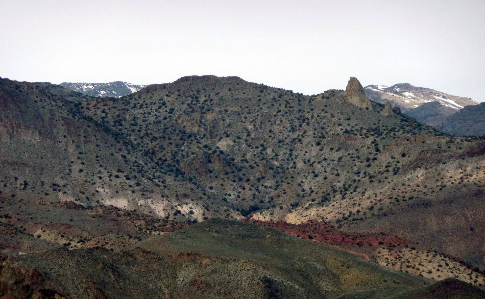 D20100320F1110750