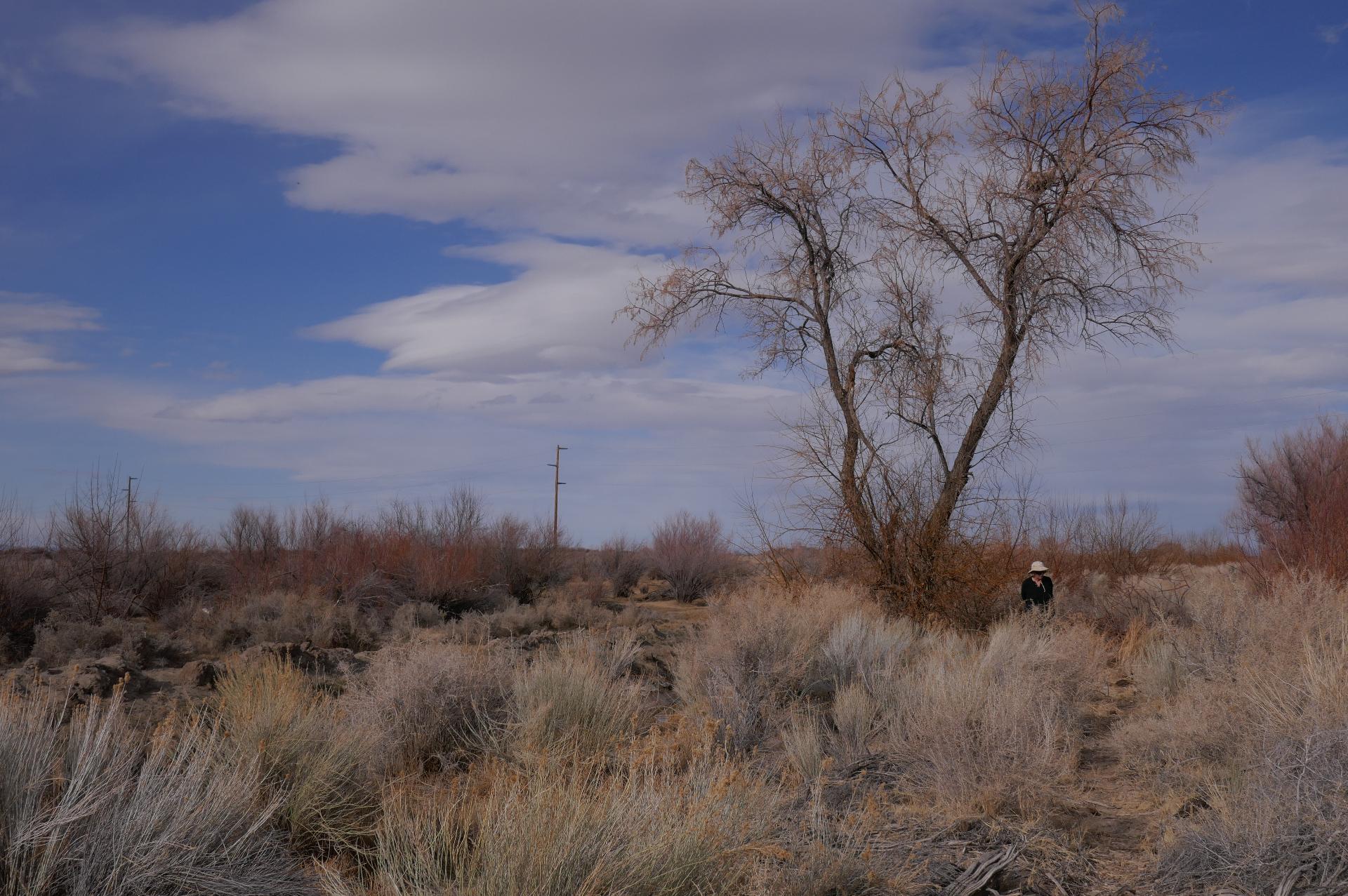 D20210318F1010411