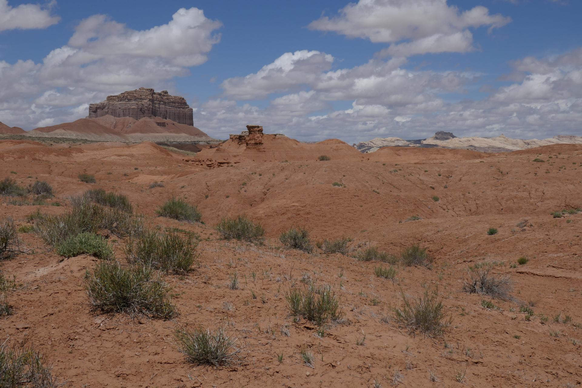 D20230514F1090364sm