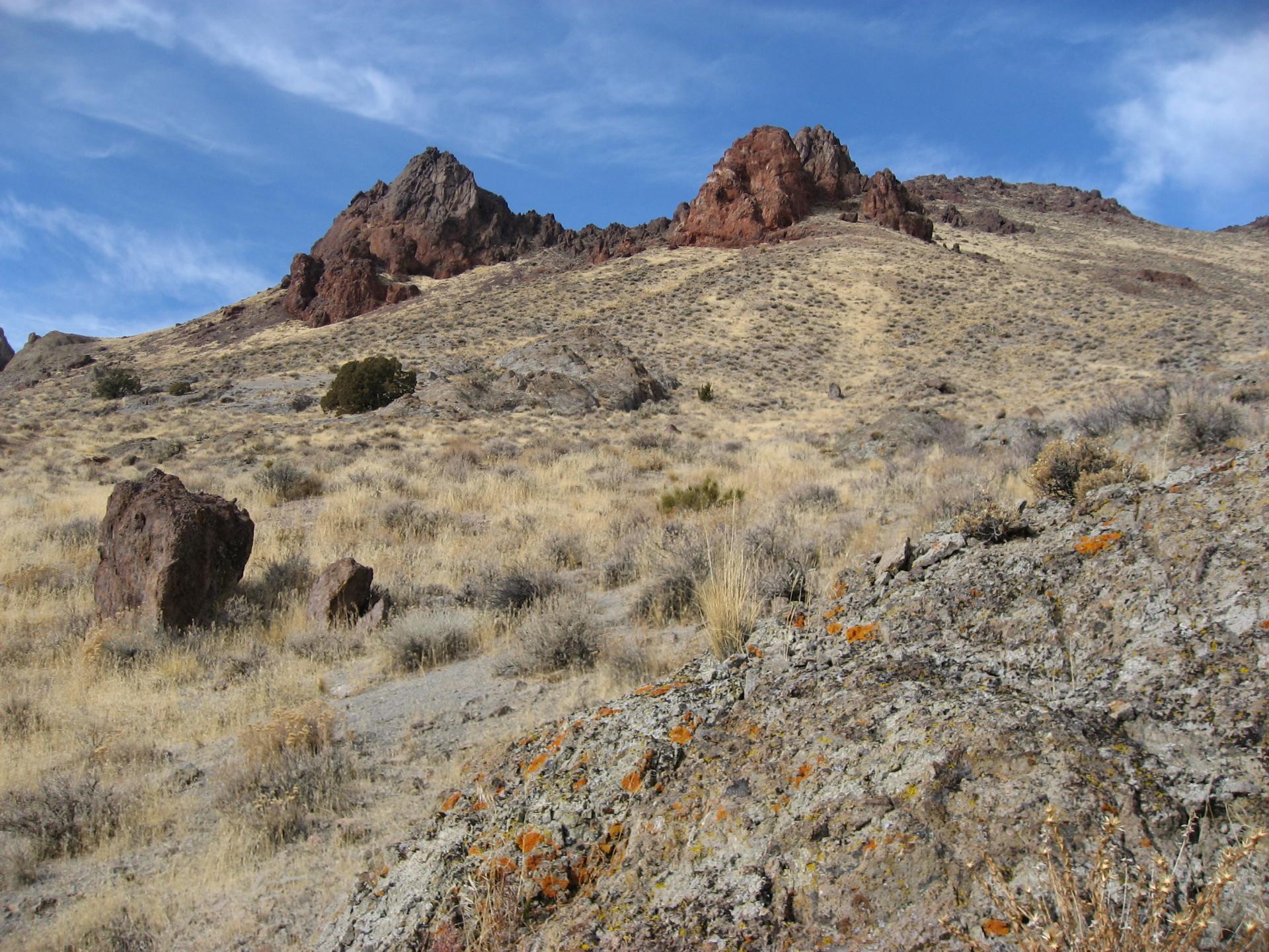 D20061231F0494