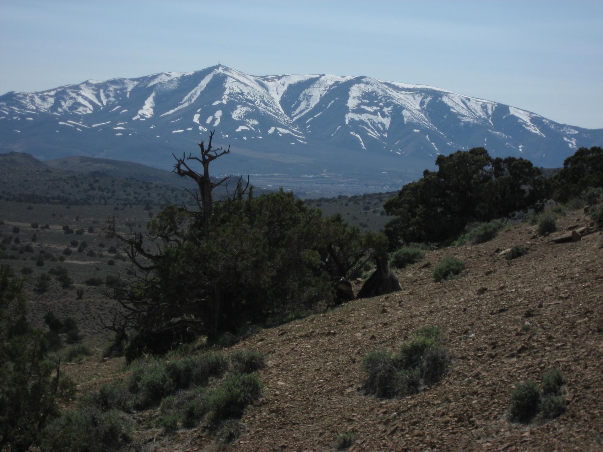 D20080420F0146